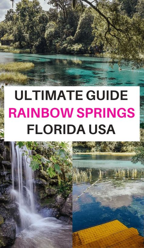 Rainbow River Florida, Rainbow Springs Florida, What To Do In Florida, Springs In Florida, Rainbow Springs State Park, Usa Trips, Florida Vacation Spots, Travel Couples, Florida Parks