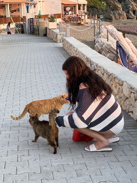 greece beach with cats Greece Aesthetic Instagram, Summer In Greece Aesthetic Vintage, Greek Beach Outfits, Crete Greece Aesthetic Outfits, Cyprus Aesthetic Outfits, Corfu Greece Outfits, Thessaloniki Greece Aesthetic, Living In Greece Aesthetic, Summer Internship Aesthetic