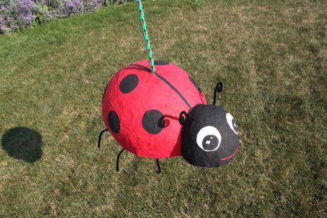 DIY Lady Bug Pinata.   I made this for my daughter's second birthday using two balloons, paper mache (newspaper, flour and water) paint and black pipe cleaners. Paper Mache Ladybug, Bug Pinata, Ladybug Activity, Diy Pinatas, Pinata Ideas, How To Make Pinata, Pinata Diy, Ladybug Wreath, Mache Art