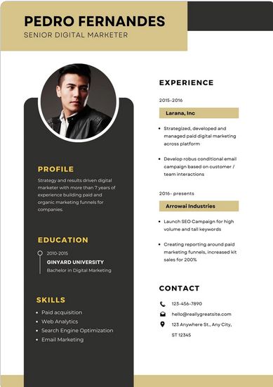 Brown Modern Professional Digital Marketer Resume Canva Template Digital Marketer, Resume Template, Resume Templates, Canva Template, Digital Marketing, Marketing, Canvas, Quick Saves