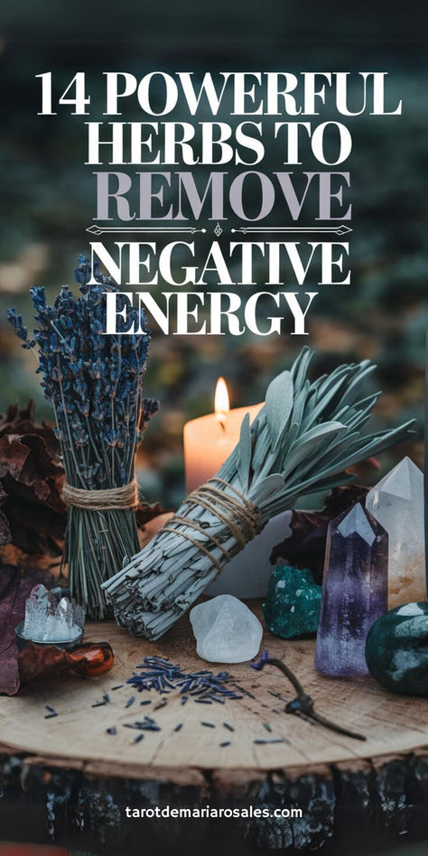 Discover the natural way to cleanse your space and spirit with 14 powerful herbs known for their ability to banish negative energy. From sage to rosemary, these herbs will help you create a protective barrier and invite positivity into your life. Perfect for anyone seeking tranquility and harmony. 🌱🔮 #HerbalMagic #PositiveEnergy #SpiritualCleansing Herbs For Peace And Harmony, Herbs To Remove Negative Energy, How To Cleanse A House Of Bad Energy, Signs Of Negative Energy In Home, Herbs To Cleanse Negative Energy, Herbs For Positive Energy, New House Rituals, How To Cleanse Your Home Of Bad Energy, Banishing Negative Energy