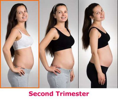 4 Months Pregnant - FamilyEducation 6 Months Pregnant Belly, 4 Months Pregnant Belly, Pregnant Months, Pregnancy Month, 4 Months Pregnant, Round Ligament Pain, Fetal Movement, Preterm Labor, 6 Months Pregnant