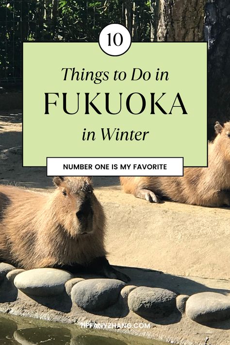 10 Things to do in Fukuoka in Winter! Number one is my favorite. Check out my blog for more: tiffanyzhang.com Things To Do In Fukuoka Japan, Fukuoka Japan Aesthetic, Fukuoka Outfit, Japan Planning, Japan Outfit Winter, Japan With Kids, Japan Winter, Japan Sakura, Learning Japanese