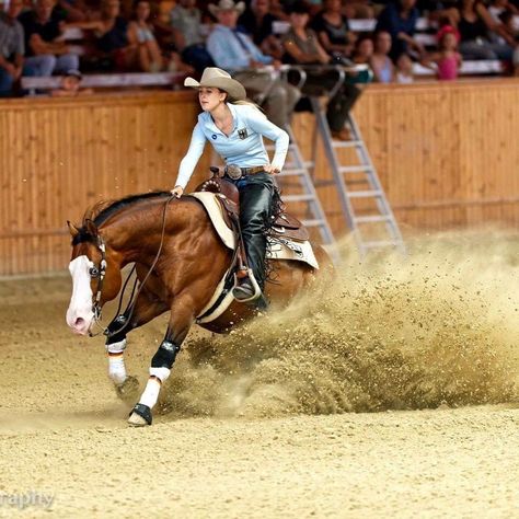 Horse Show Aesthetic Western, Western Reining Horse, Colorado Ranger Horse, Riding Outfits Western, Reigning Horses, Horse Senior Pictures, Working Cow Horse, Aqha Horses, Horse Riding Aesthetic