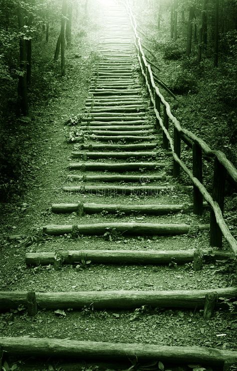 Path to the heaven. Stairway to heaven in mystic forest , #sponsored, #heaven, #Path, #Stairway, #forest, #mystic #ad Path To Heaven, Heaven Wallpaper, Mystic Forest, Way To Heaven, Leaf Images, Stair Steps, Religious Icons, Stairway To Heaven, Dark Skies