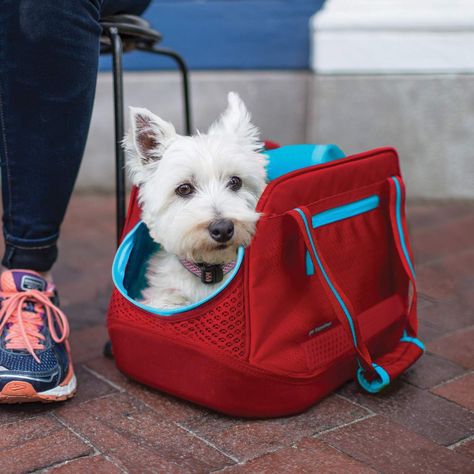 Dog Travel Carrier, Sporty Dog, Puppy List, Puppy Carrier, Pet Travel Carrier, Pet Carrier Bag, Pet Steps, Travel Carrier, Dog Biscuits