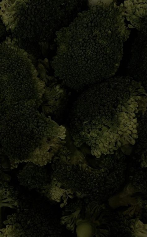 Healthy Food Dark Aesthetic, Dark Green Aesthetic Instagram Feed, Green Veggies Aesthetic, Greens Vegetables Aesthetic, Dark Green Naturalism Aesthetic, Fruits And Vegetables, Dark Aesthetic, Dark Green, Shades Of Green