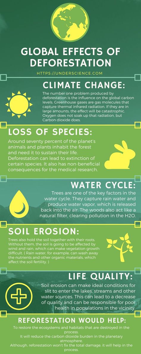 Read more at: https://underscience.com/deforestation-facts-causes-effects/ Posters On Deforestation, Deforestation Infographic Design, Poster On Deforestation, Stop Deforestation Poster, Environmental Sustainability Poster, Deforestation Poster Ideas, Deforestation Photography, Deforestation Project, Deforestation Infographic