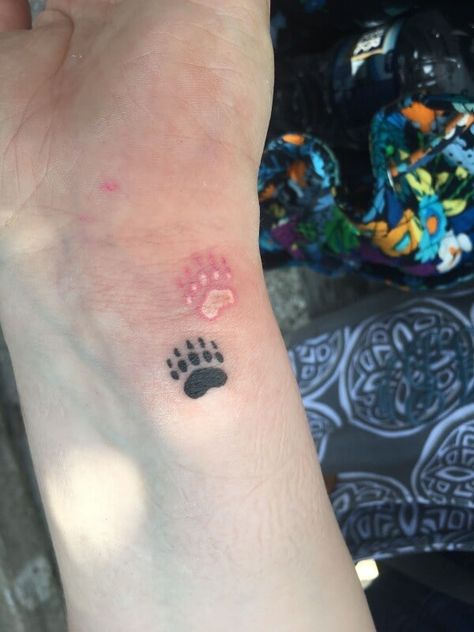 Bear Paw Hand Tattoo, Bear Claws Tattoo, Mini Bear Tattoo, Bear Finger Tattoo, Bear Paw Print Tattoo, Bear Cubs Tattoo, Bear And Cub Tattoo, Paw Print Tattoo Cat, Bear Cub Tattoo