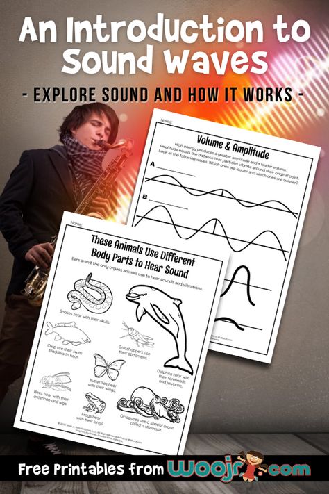 An Introduction to Sound Waves for Kids | Woo! Jr. Kids Activities Light And Sound Stem Activities, Teaching Sound Waves, Sound Experiments 4th Grade, Sound Wave Experiment, Science Sound Activities, Teaching Sound Science, Sound Stem Activities For Kids, Sound Activities For Kids, Sound Stem Activities