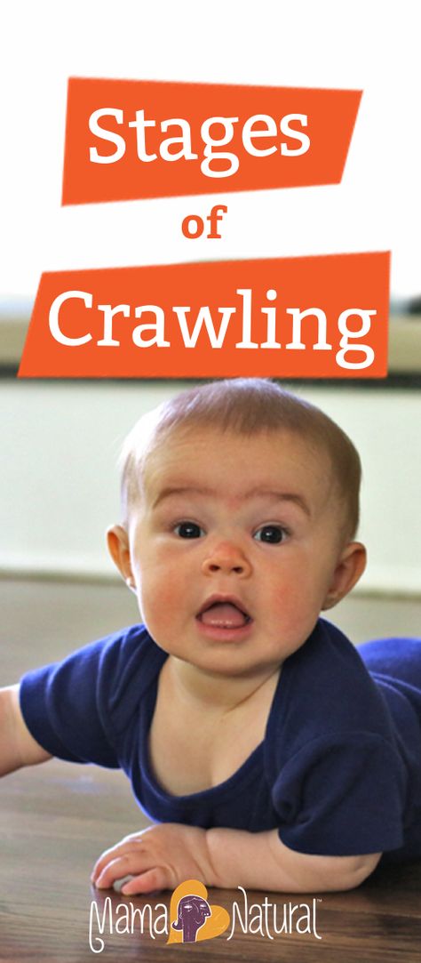 Watch baby Paloma go through the stages of crawling, from newbie to pro in 2 min. Teach Baby To Crawl, Help Baby Crawl, Baby Development In Womb, Baby Development Chart, Stages Of Baby Development, Baby Development Milestones, Baby Development Toys, Baby Development Activities, Confidence Kids