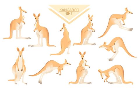 Set of cute adult kangaroo australian animal cartoon animal design vector illustration on white background. Kangaroo Character Design, Kangaroo Drawing, Kangaroo Illustration, Kangaroo Art, Illustration Ideas, Animal Cartoon, Australian Animals, Art Antique, Nalu