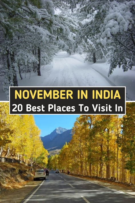 In this travel guide, we discussed the best places to visit in November in India. From Kashmir to Tamilnadu and Sikkim to Rajasthan, we tried to cover the best destination. Kashmir In November, Travel In India Places To Visit, Best Place To Travel In November, Best Places To Travel In India, Autumn In India, Travel Places In India, Places To Travel In India, Kashmir Trip, Places To Visit In India