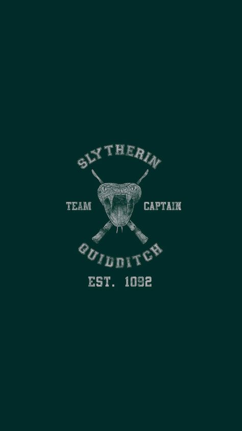 Quidditch Aesthetic, Quidditch Slytherin, Slytherin Princess, Slytherin Quidditch, Harry Potter Wallpaper Backgrounds, Slytherin Wallpaper, Harry Potter Iphone, Harry Potter Poster, Harry Potter Quidditch