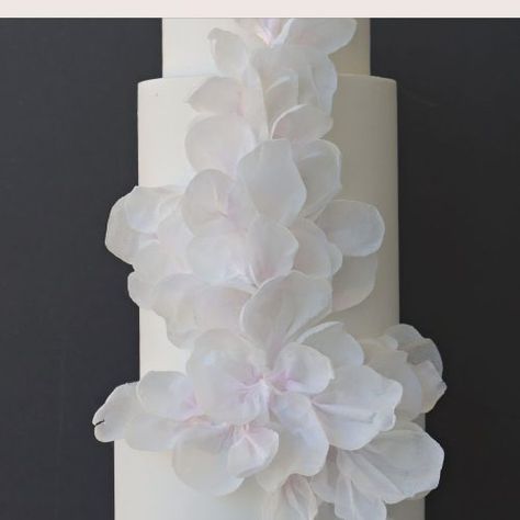 Wafer Paper Tutorial, Wafer Paper Butterflies, Paper Petals, Metallic Cake, Edible Flowers Cake, Modern Cake, Edible Wafer Paper, Watercolor Butterflies, Wafer Paper Flowers