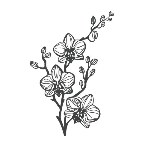 Line Tattoo Flower, Orchid Flower Tattoo, White Flower Tattoo, Flower Tattoo Black, Orchid Flower Tattoos, Black And White Flower Tattoo, Orchid Drawing, Black Line Tattoo, Orchid Tattoo