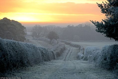 Cold and frosty morning Frosty Morning Aesthetic, Hozier Core, Nostalgia Christmas, Aesthetic Country, Calming Pictures, England Aesthetic, Frosty Morning, The Sun Rises, Cold Morning