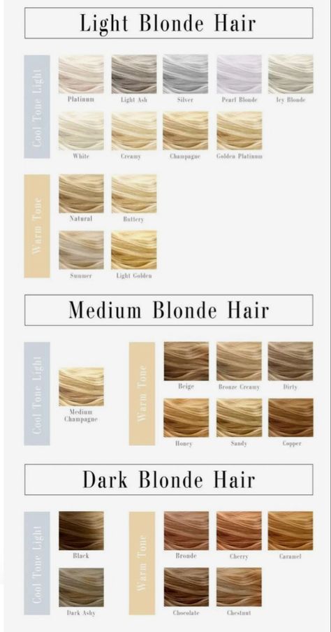 Blonde Blonde Hair, Blonde Hair Color Chart, Hair Chart, Honey Blond, Sama Sama, Hair Blond, Hair Color Chart, Blonde Hair Color Ideas, Blonde Hair Shades