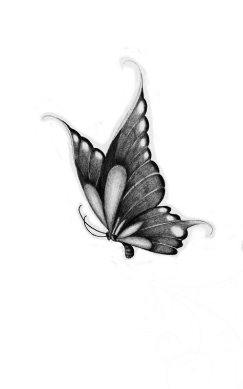 Butterfly Tattoo Side View, Mistletoe Tattoo, Tattoo Borboleta, Realistic Butterfly Tattoo, Fantasy Tattoo, Borboleta Tattoo, Black Butterfly Tattoo, Butterfly Tattoo Stencil, Butterfly Art Drawing