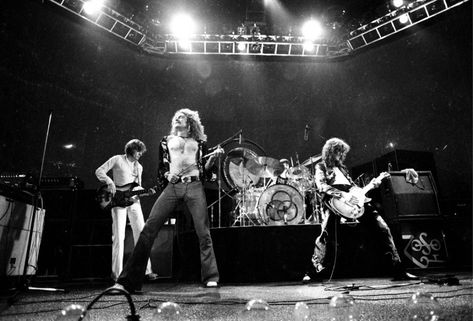 Twenty Arrested at Led Zeppelin Concert #1970s Led Zeppelin Concert, Led Zeppelin I, Led Zeppelin Songs, Led Zeppelin Live, Immigrant Song, Baby Lyrics, Bon Scott, Roger Daltrey, Brian Johnson