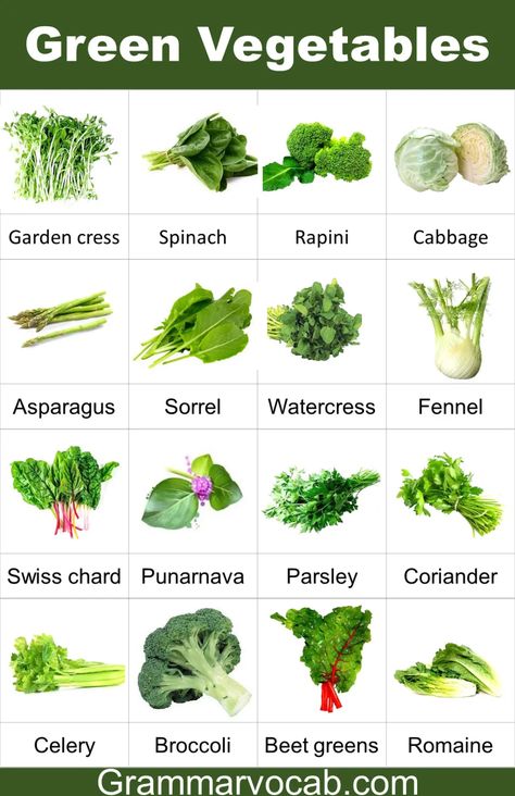 50 Green Leafy Vegetables Names in English with Pictures - GrammarVocab Green Vegetables Name, Vitamin Foods, Vegetable Images, Name Of Vegetables, Cleansing Herbs, Rainbow Leaves, Green Leafy Vegetables, Spinach Pizza, Water Spinach