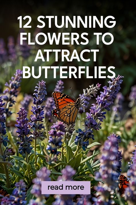 Transform your garden into a haven for butterflies with these best flowers for a butterfly garden. Attract beautiful butterflies and important pollinators by planting a variety of colorful and fragrant flowers in your outdoor space. Create an inviting environment that will not only bring butterflies but also enhance the beauty of your garden. Discover the perfect plants to attract these delicate creatures and watch them flutter around your butterfly-friendly garden. Let nature inspire you as you Flowers To Attract Butterflies, Flowers For Butterflies, Flowers That Attract Butterflies, Butterfly Plant, Natural Smoothies, Giant Butterfly, Plants That Attract Butterflies, California Plants, Butterfly Plants