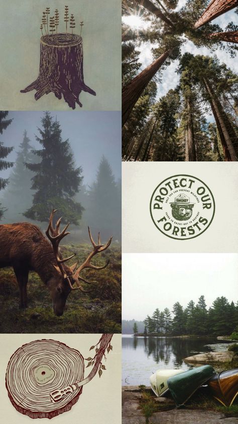 #adventurecore #forest #smokeythebear #wallpaper #lifeisgood #treelover #wildlife #vanlife Smokey Bear Wallpaper, Aesthetic Granola Wallpaper, Forest Service Aesthetic, Wildlife Rehabilitation Aesthetic, Forest Ranger Aesthetic, Forestry Aesthetic, Outdoorsy Home, Explorer Aesthetic, Adventurecore Aesthetic