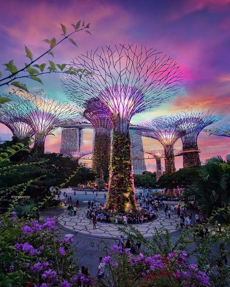 Read our round-up of some of the most Instagrammable locations around Singapore. Gardens By The Bay, Singapore, Trees