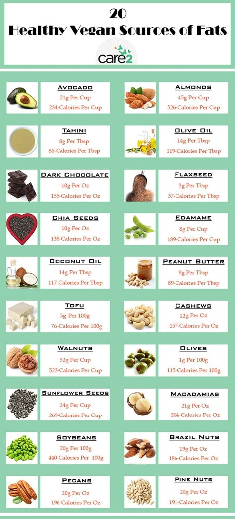 Vegan Fats, Animal Foods, Fat Burning Meal Plan, Fat Burning Snacks, Fat Loss Food Plan, Fat Sources, Most Effective Diet, Fat Loss Foods, Diet Plans For Women