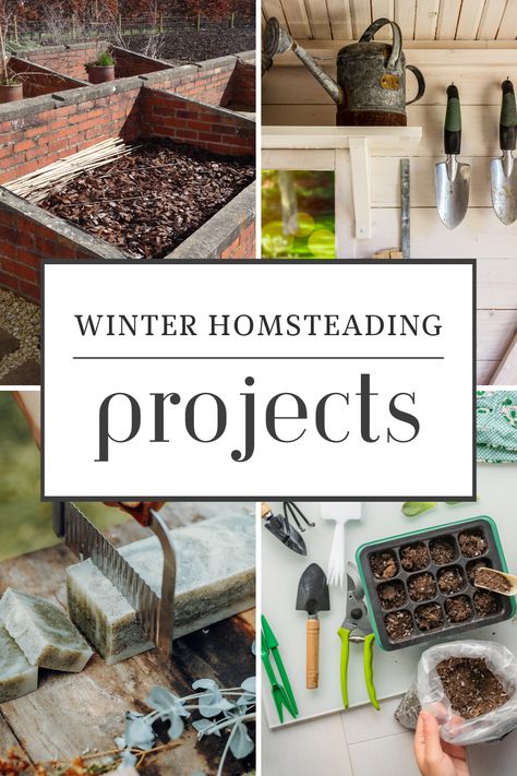 cold frames, cold-tolerant crops, creative projects, firewood harvesting, garden layout planning, gardening season, homemade candles, homemade soaps, homesteading knowledge, homesteading skills, indoor hydroponics, indoor seed starting, off-season productivity, seasonal preparation, Self Sufficiency, Sustainable Farming, Tool maintenance, tool repair, Winter Activities, winter homesteading projects The Seasonal Homestead, Self Sufficient Skills, Indoor Homesteading, Homesteading Uk, Micro Homesteading, Homesteading Crafts, Homesteading Knowledge, Winter Homesteading, Harvesting Garden