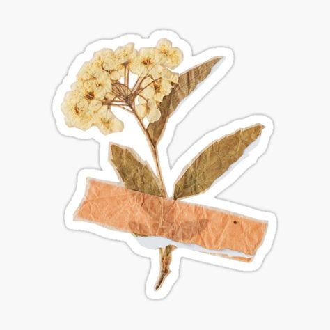 Vintage Tape Sticker, Vintage Stickers Flowers, Tape Aesthetic Sticker, Flowers Stickers Aesthetic, Flowers Aesthetic Stickers, Journal Stickers Aesthetic Vintage, Flower Vintage Aesthetic, Flower Aesthetic Sticker, Vintage Flowers Stickers