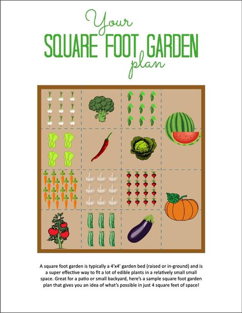 Square Foot Garden Plan Square Foot Gardening Layout Raised Beds Companion Planting, Square Ft Gardening Layout, Raised Garden Bed Template, 4x8 Vegetable Garden Layout, 4x6 Garden Layout, 6x6 Garden Layout, 8x8 Garden Layout, Raised Garden Bed Vegetables, 3x6 Raised Garden Bed Layout