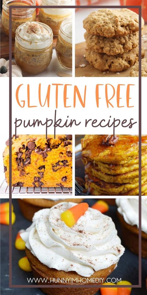 Do you need the best gluten free pumpkin recipes? Whether you're searching for easy desserts or ideas for dinner, you'll love all these gf recipes. Get ready for fall baking with treats like glutenfree cookies, muffins, pancakes, pie, and bars. Gluten Free Pumpkin Desserts, Gluten Free Pumpkin Cake, Gluten Free Fall Recipes, Canned Pumpkin Recipes, Gluten Free Pumpkin Recipes, Pumpkin Breakfast Recipes, Gluten Free Pumpkin Spice, Gluten Free Pumpkin Muffins, Gluten Free Pumpkin Pie