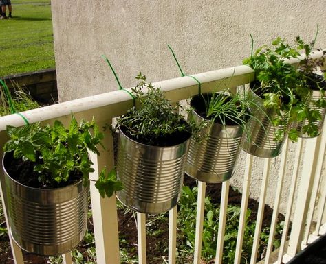 Save your coffee cans to make a hanging herb garden | Offbeat Home & Life Planter Railing, Diy Railing, Apartment Herb Gardens, Hanging Herb Gardens, Balcony Herb Gardens, Clay Vessels, Outdoor Herb Garden, Hanging Herb Garden, Diy Balcony