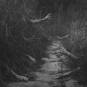 walk down that path i dare you! | Nightmare Fuel | Know Your Meme Creepy Photos, Creepy Images, Arte Obscura, Dark Photography, The Dark Side, Arte Horror, The Grass, Creepers, Dracula