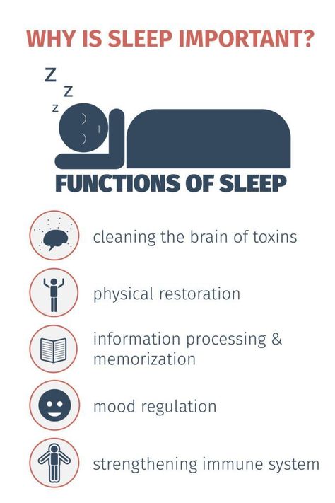 Why Is Sleep Important, Strengthen Immune System, Benefits Of Sleep, How To Sleep, Slaap Lekker, Sleep Health, Information Processing, Healthy Sleep, Good Sleep