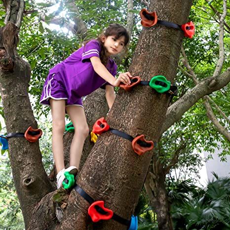 Obstacle Course Training, Kids Climber, Kids Tree, Backyard Playset, Wall Climbing, Kids Climbing, Climbing Holds, Tree Climbing, Rock Climbing Wall