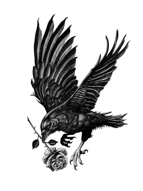 Crow Tattoo Meaning, Crow Tattoo For Men, Black Crow Tattoos, Crow Tattoos, Rabe Tattoo, Crows Drawing, Crow Tattoo Design, Black Bird Tattoo, Rose Tattoo Sleeve