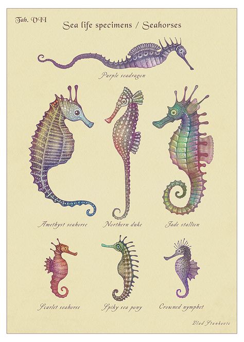 Sea Tattoo Sleeve, Tattoo Planning, Colorful Seahorse, Seahorse Tattoo, Seahorse Art, Black And White Art Drawing, Cute Fantasy Creatures, Sea Dragon, Sea Horse