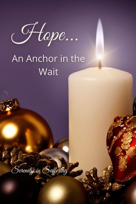 Are you waiting for answer to prayer, help in a trial or encouragement this holiday season? Find the true HOPE you need right now. #serenityinsuffering #serenity #hope #hopeful #hopefulness #advent #adventhope #adventinspiration Hope Advent, Advent Hope, Fill My Cup Lord, Proverbs 31 Women, Liturgical Art, Church Altar, Biblical Womanhood, Virtuous Woman, My Schedule