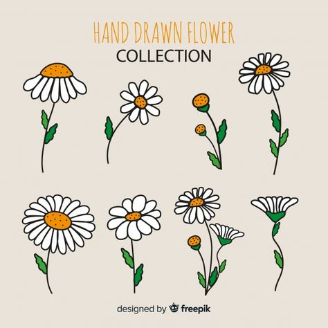 Flower collection | Free Vector #Freepik #freevector #freebackground #freeflower #freefloral #freeflowers Daisy Flower Drawing, Daisy Drawing, Spring Flowers Background, Rock Flowers, Daisy Art, Background Flower, Print Design Art, Flower Collection, Cartoon Flowers