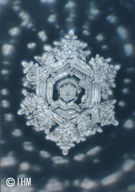 Dr Masaru Emoto on Human Consciousness and Water Masaru Emoto Water, Masaru Emoto, Water Experiments, Structured Water, Water Molecule, Charcoal Drawings, Crop Circles, E Mc2, Fukushima