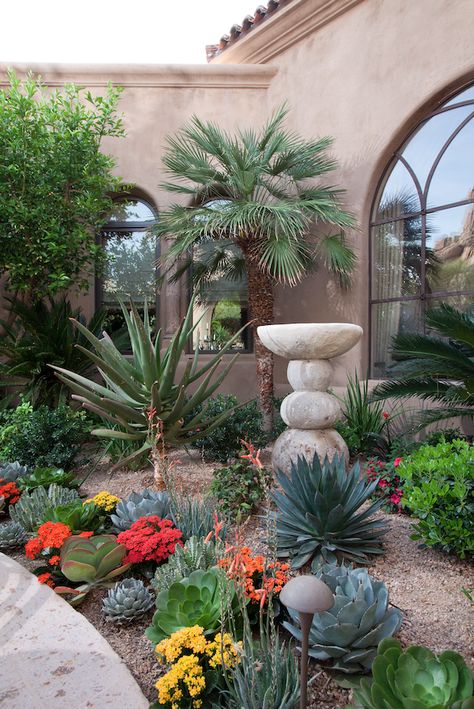 Desert Plants Landscaping, Fence Edging Ideas, Desert Landscaping Backyard, Fence Edging, Curb Appeal Landscaping, Desert Landscape Design, Cactus Garden Landscaping, Desert Backyard, Curb Appeal Ideas