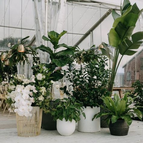 Wedding Styling Ideas, Wedding Styles Themes, Wedding Plants, Wedding Alters, Byron Bay Weddings, Warehouse Wedding, Wedding Styling, Marquee Wedding, Botanical Wedding