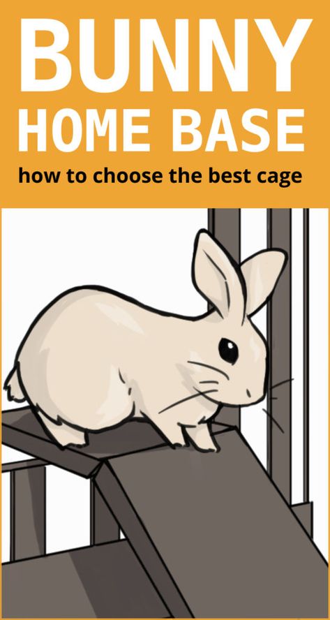 rabbits. Metal Cages Almost all metal cages on the market are too small Rabbit Cage Setup, Rabbit Cage Indoor, Rabbit Health, Pet Bunnies, Diy Rabbit Cage, Rabbit Playpen, Indoor Rabbit Cage, Rabbit Facts, Outdoor Rabbit