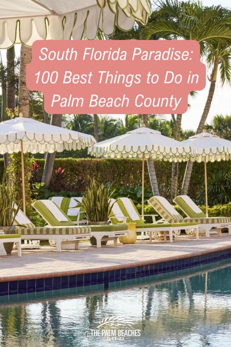 Here is Our Guide to the 100 Best Things to Do & Attractions in The Palm Beaches, Florida 🌴🌊 #ThePalmBeaches Miami International Airport, Passenger Train, Palm Beach County, Summer Bucket Lists, The Palm, Fort Lauderdale, International Airport, South Florida, Palm Beach