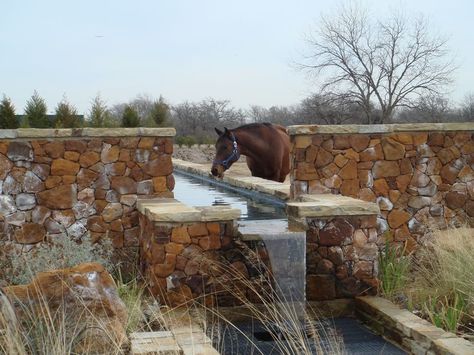 horse water products | Lucky horses - a water feature with multiple uses. Small Equestrian Property, Small Horse Ranch, Horse Stables Small, Horse Pool, Luxury Horse Barns, Dream Barn Stables, Paddock Trail, Paddock Paradise, Dream Stables