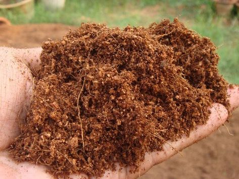 Coconut Coir: What It Is And Which To Get - Epic Gardening Mason Jar Herbs, Coco Peat, Mason Jar Herb Garden, Diy Herb Garden, Coconut Benefits, Organic Compost, Fertilizer For Plants, Coffee Crafts, Coconut Fiber