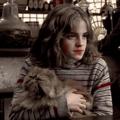 Hermione Granger, Hermione, Harry Potter, Gif