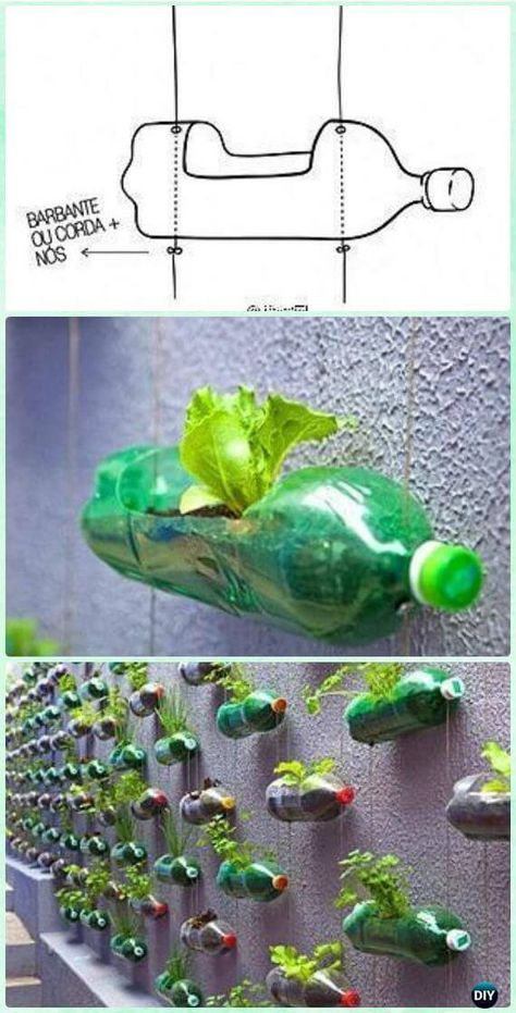 Plastic Bottle Garden, Plastic Bottle Planter, Reuse Plastic Bottles, Tanaman Pot, Plants In Bottles, Plastic Bottle Art, Diy Plastic Bottle, نباتات منزلية, Vertical Herb Garden